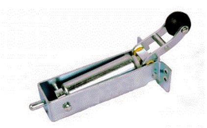 Diktatörlü Этажная дверь